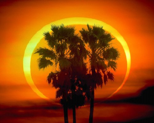 今日15時騰訊網全程直播日環食天象奇觀(圖)